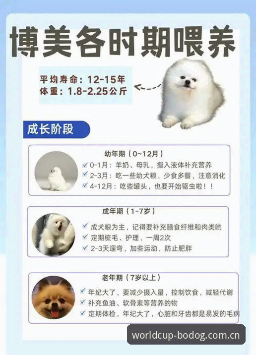 世界杯体育平台博狗苹果版深度评测：从技术视角解析移动端博彩体验
