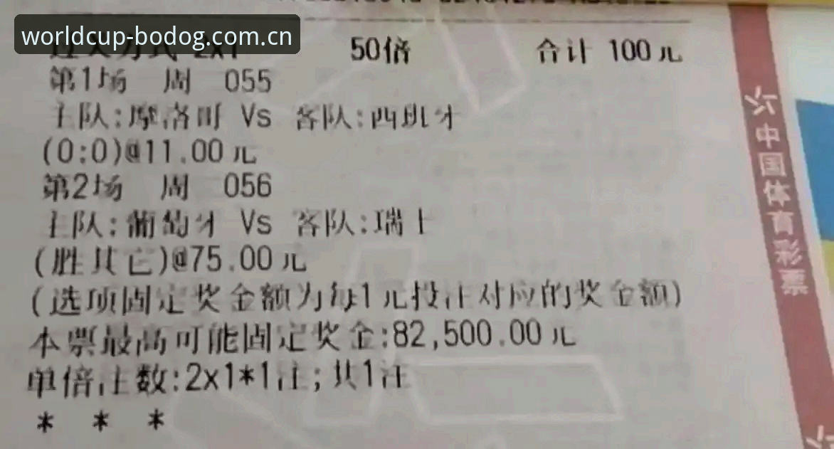 世界杯体育平台用户经验分享：博狗下载全流程与安全使用心得
