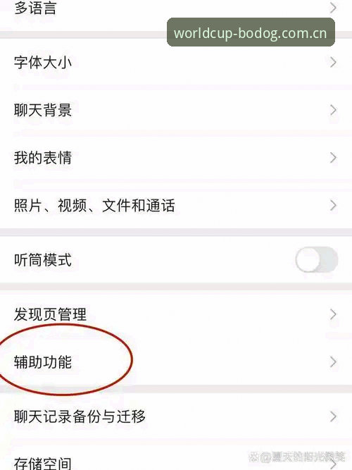 世界杯体育平台博狗使用指南：从注册到提现的完整教程
