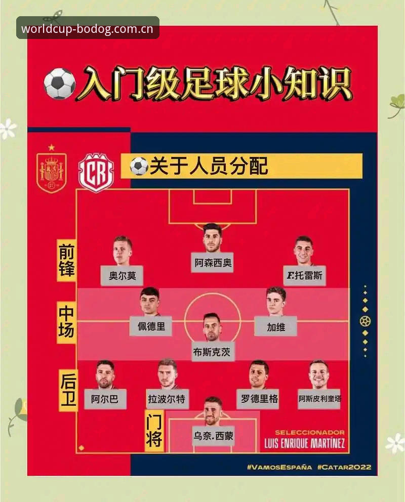 世界杯体育平台使用教程：博狗必备操作指南与实战技巧