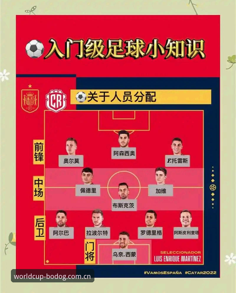 世界杯体育平台博狗官方下载全面解析：新手必看的博彩入门指南与操作细节